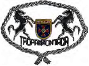 DISTINTIVO DE QUEPE - TROPA MONTADA GIA