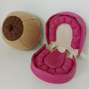 Mama Didática + Mini Boca Bebê