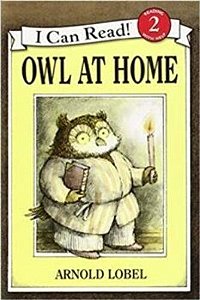 Owl At Home