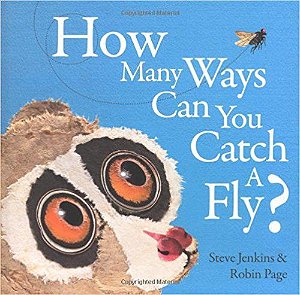 How Many Ways Can You Catch A Fly?