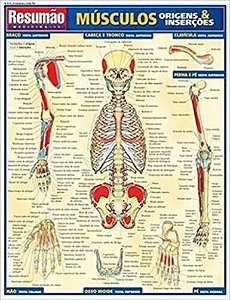 Resumão - Músculos (Origens & Inserçoes)