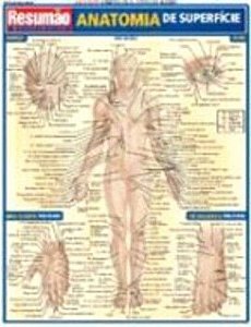 Resumao - Anatomia De Superficie