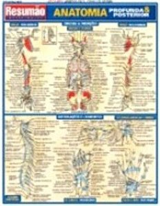 Resumao - Anatomia Profunda & Posterior