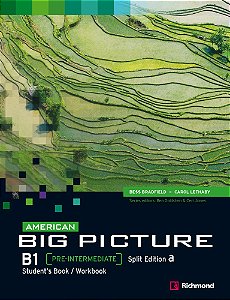 American Big Picture Pre-Intermediate B1 A - Student's Book With Workbook And Audio CD