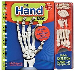 The Hand Book - Explore The Handiest Part Of Your Body