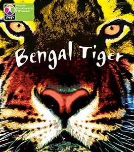 Bengal Tiger - Pyp - Level 4