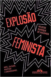 Explosão Feminista: Arte, Cultura, Política E Universidade