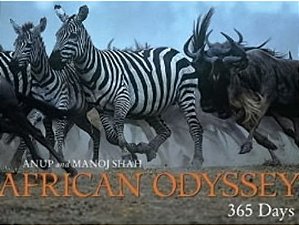 African Odyssey: 365 Days