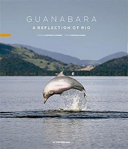 Guanabara A Reflection Of Rio