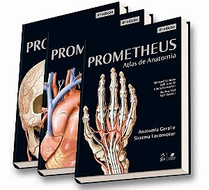 Prometheus Atlas De Anatomia - 3 Volumes - 4ª Edição