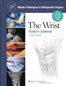 Master Techniques In Orthopaedic Surgery: The Wrist - 3RD Edition