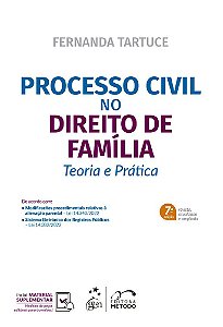 Processo Civil No Direito De Família - Teoria E Prática