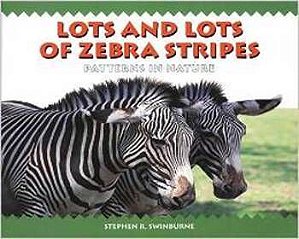 Lots And Lots Of Zebra Stripes