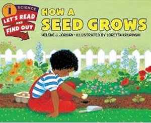 How A Seed Grows (Let'S-Read-and-find-out Science 1)