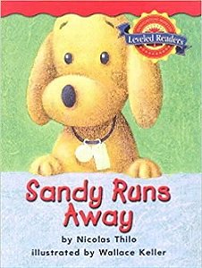 Sandy Runs Away - Level 1
