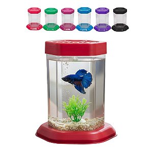 Kit 7 Aquario para Peixe Betta Acrilico Beteira - Com Tampa| Lembrança de Aniversário | Festa Infantil | Decoração e Lembrancinha