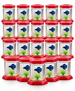 KIT 20 Aquario para Peixe Betta Acrilico Beteira Com Tampa - Lembrança de Aniversário | Festa Infantil | Decoração e Lembrancinha