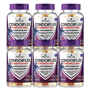 Condoiflex (Condroitina, Colág. II, Curcumina, MSM e +) - kit com 6 frascos de 90 cáps - 400mg