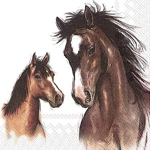 Guardanapo - AMY AND LUCY