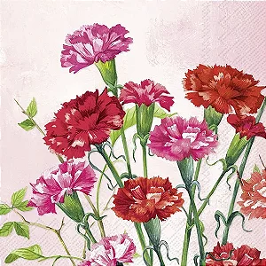 Guardanapos Unitarios para Decoupage - BUNCH OF CARNATIONS