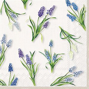 PRÉ VENDA - Guardanpo SPRING MUSCARI