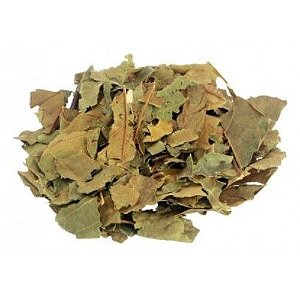 Chá Abacateiro Folha 200gr