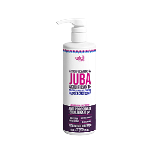 Widi Care Acidificando A Juba Acidificante 500ml