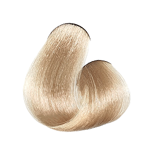 10.1 - Louro Claríssimo Acinzentado - 60g