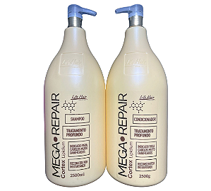 Mega Repair Lavatório, Life Hair 2.5L