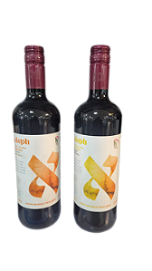 Vinho Aleph Tinto Kosher le Pessach 750ml