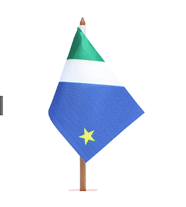 Bandeira De Mesa Do Estado Do Mato Grosso Do Sul 14x21 cm com pedestal