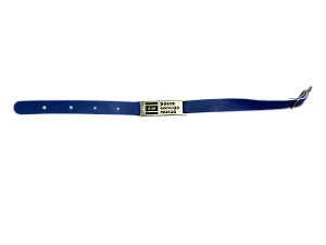 Pulseira Eu posso Eu Consigo Dourada Courino 10 unidades