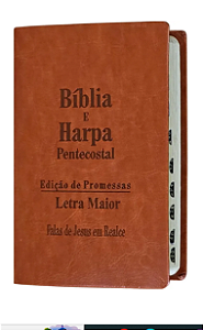 Bíblia Sagrada com Harpa Cristã Letra Maior