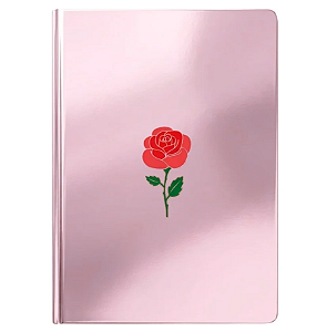 Bíblia Sagrada Minimalista Rosa | ARC | Letra Gigante | Harpa Avivada e Corinhos | Capa Dura