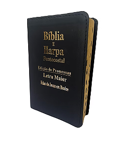 Bíblia Sagrada Média HDO Luxo Letra Grande