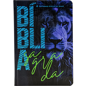 Bíblia Sagrada NTLH, Letra Regular, Capa Dura Ilustrada: Azul-escuro