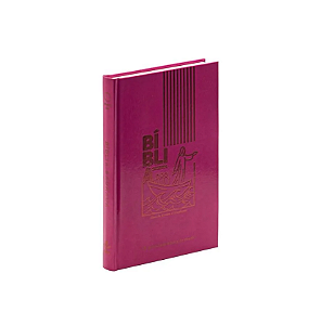 Bíblia Colors ARA, Letra Regular, Capa Dura Rosa
