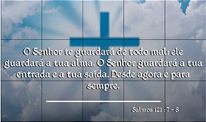 SALMOS 100X60CM