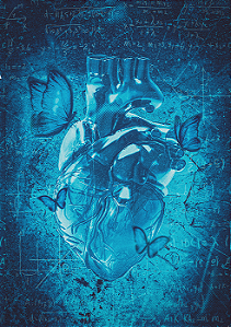 Paradoxo (capa dura)
