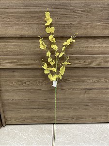 Orquídea Chuva de Ouro Amarela