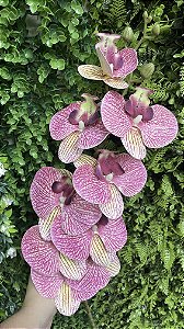 Galho de Orquídea Rajada Rosa Silicone