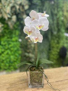 Arranjo de Orquídea Silicone Branca P - vidro grosso