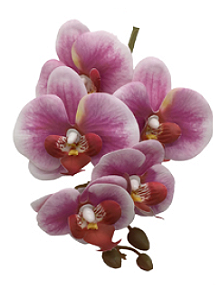Galho de Orquídea Rosa Pink com Branco Silicone P 70 cm