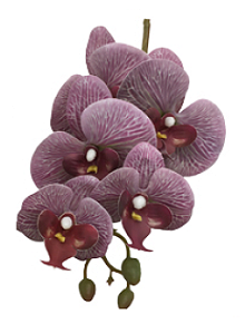 Galho de Orquídea Lilás Rajada Silicone P 70 cm