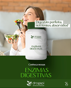 Enzimas digestivas