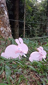 Duo de coelhos poá rosa