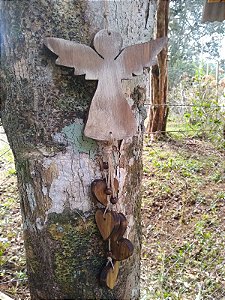 Penca de anjo com Corações