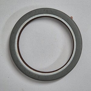 4110000054100 - Retentor Dianteiro do Motor - LG936