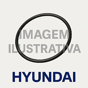 81E1-3301 - Anel de Vedação Hyundai - R110-7, R110-7A, R125LCR-9A, R130LC, R130LC3, R140LC-7, R140LC-7A, R140LC9, R140LC9S, R140LC9V, R145CR9, R145CR9A, RB140LC9S, RD110-7, RD140LC9