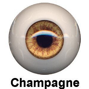 Olho 20mm Champagnhe Polyglass Eyeco